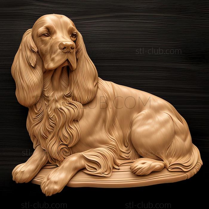 st English Cocker Spaniel dog